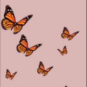 Meet your Posher, Riley